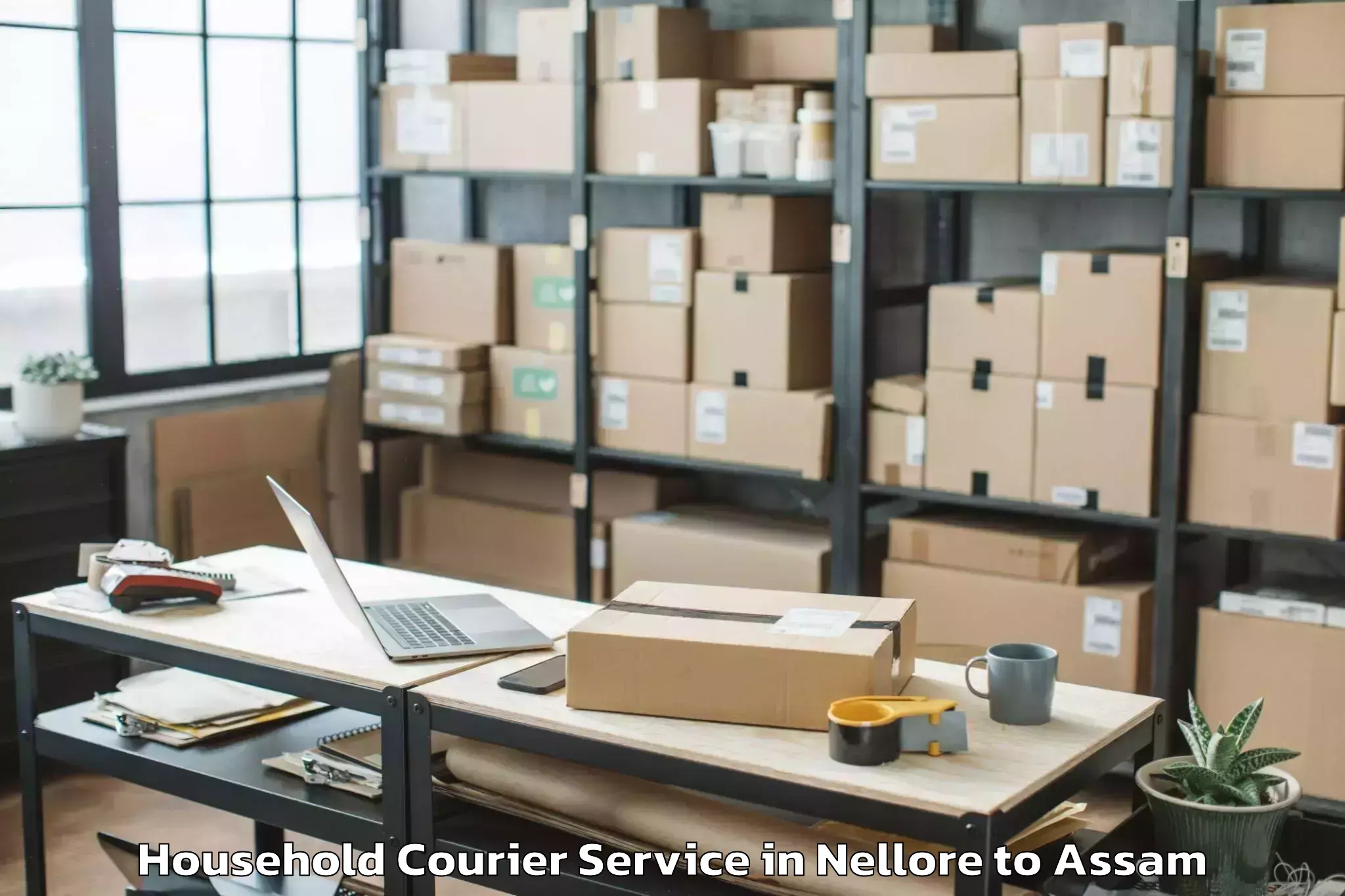 Top Nellore to Pandu Household Courier Available